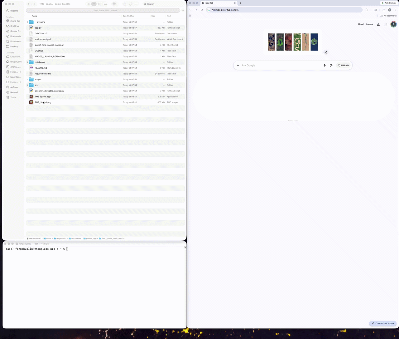 Launching the TME Spatial app