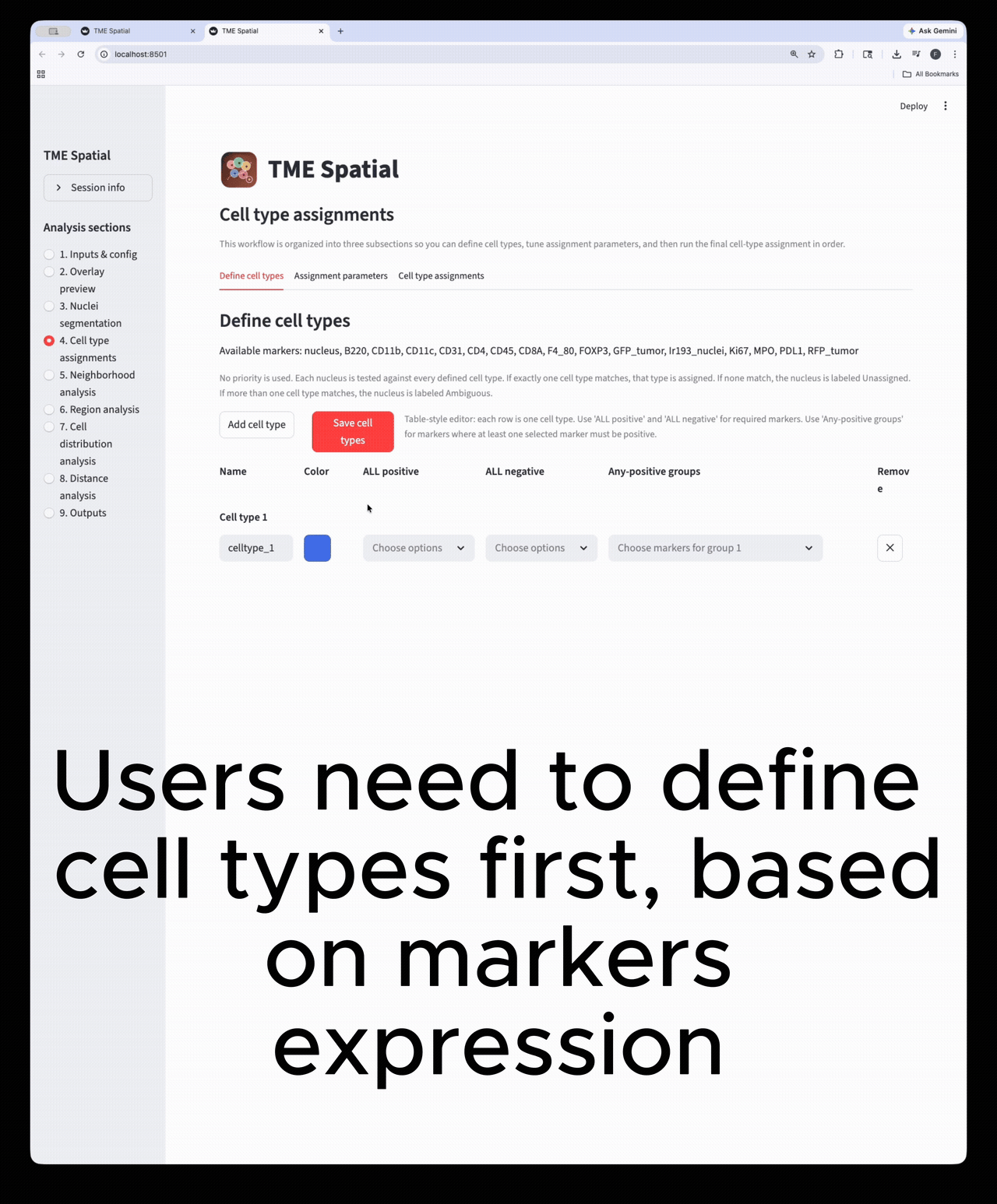 Cell type assignment