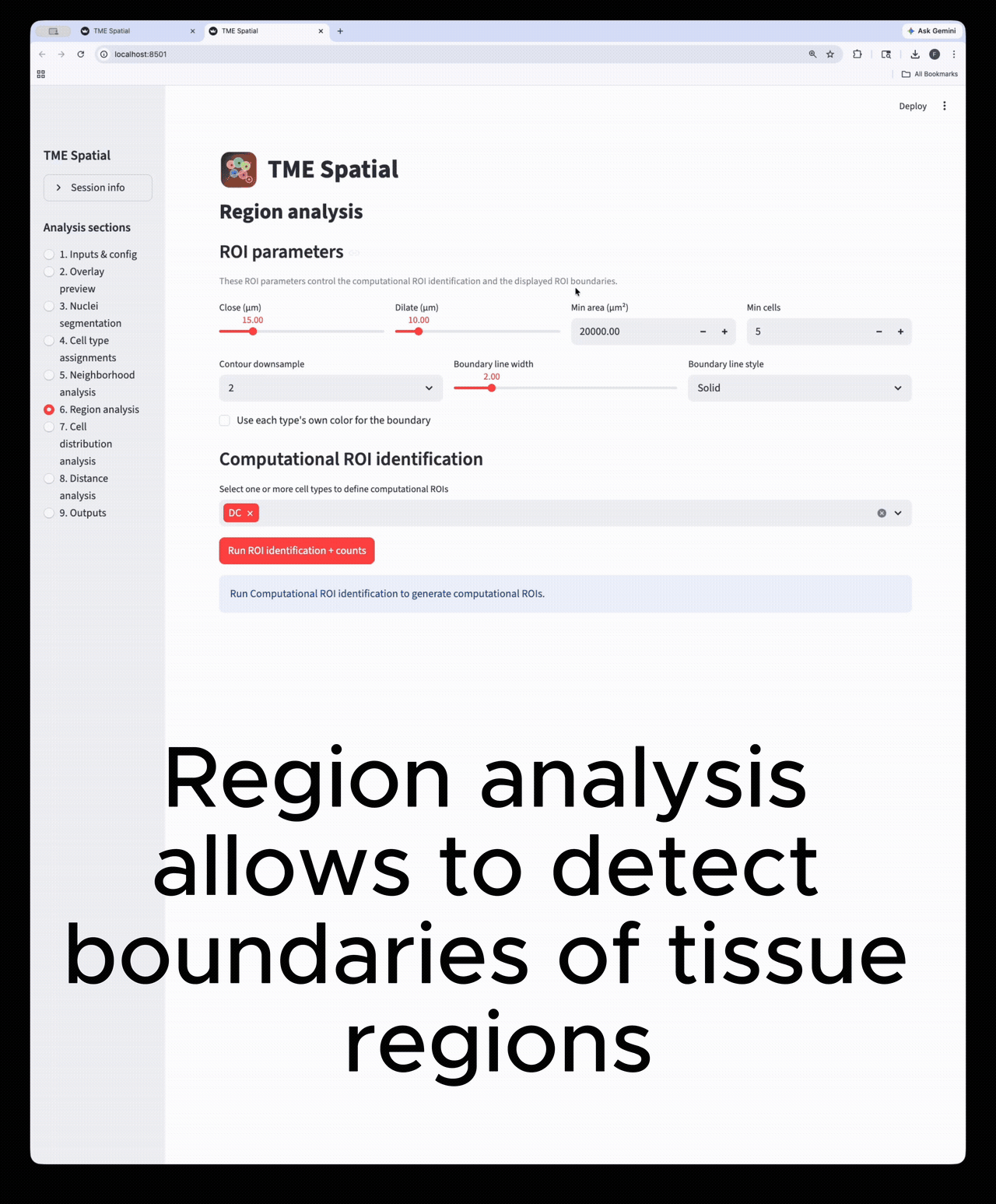 Region analysis